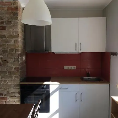 Apartment Dzivoklis Koka Maja Ar Darzu, Netalu No Upes Un Meza *